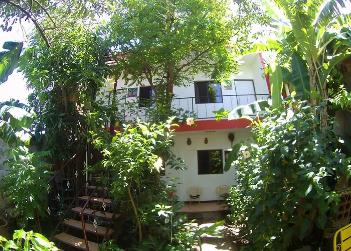 Museito De Carlos