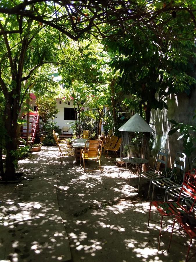 Bed & Breakfast Museito De Carlos Granada